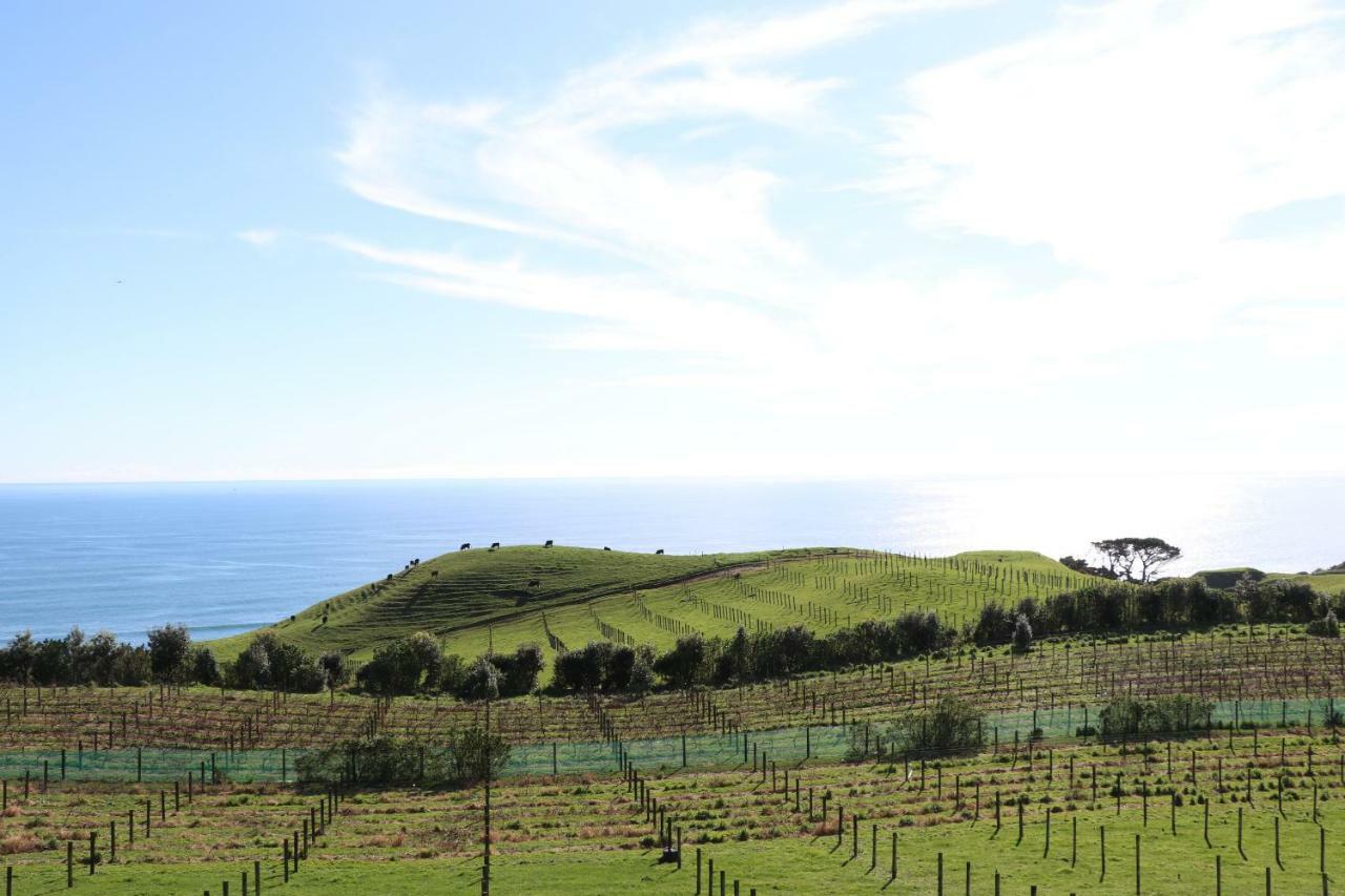 Chalets At Okurukuru New Plymouth Exterior photo